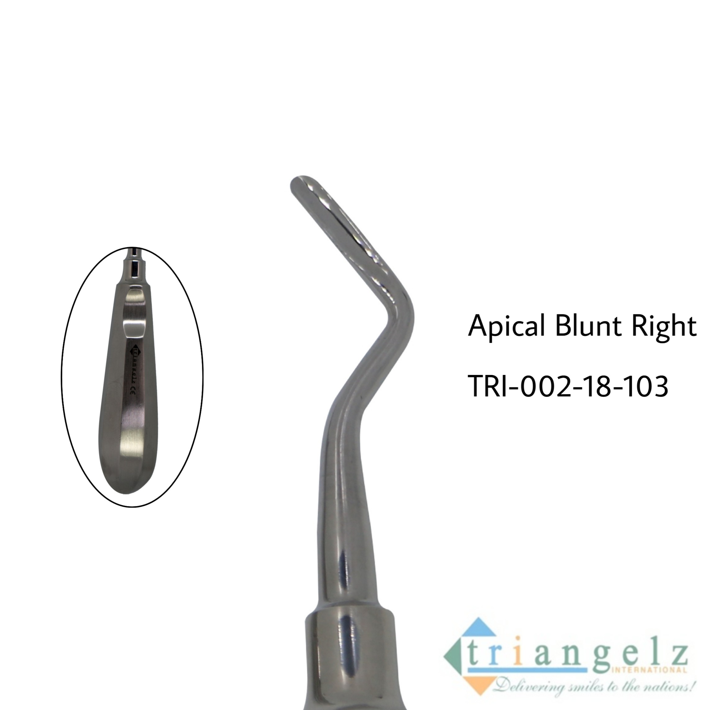 TRI-002-18-103 Apical Blunt Right