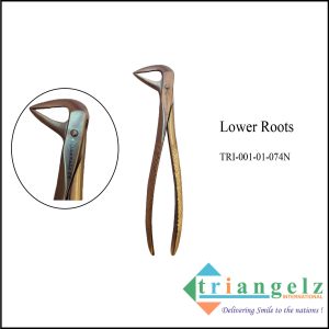 TRI-001-01-074N Lower Roots