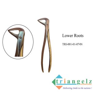 TRI-001-01-074N Lower Roots