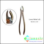 TRI-001-01 -089 Lower molar Left