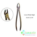 TRI-001-01-090 Lower molar Right