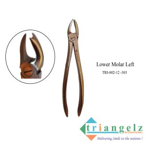 TRI-002-12 -303 Lower Molar Left