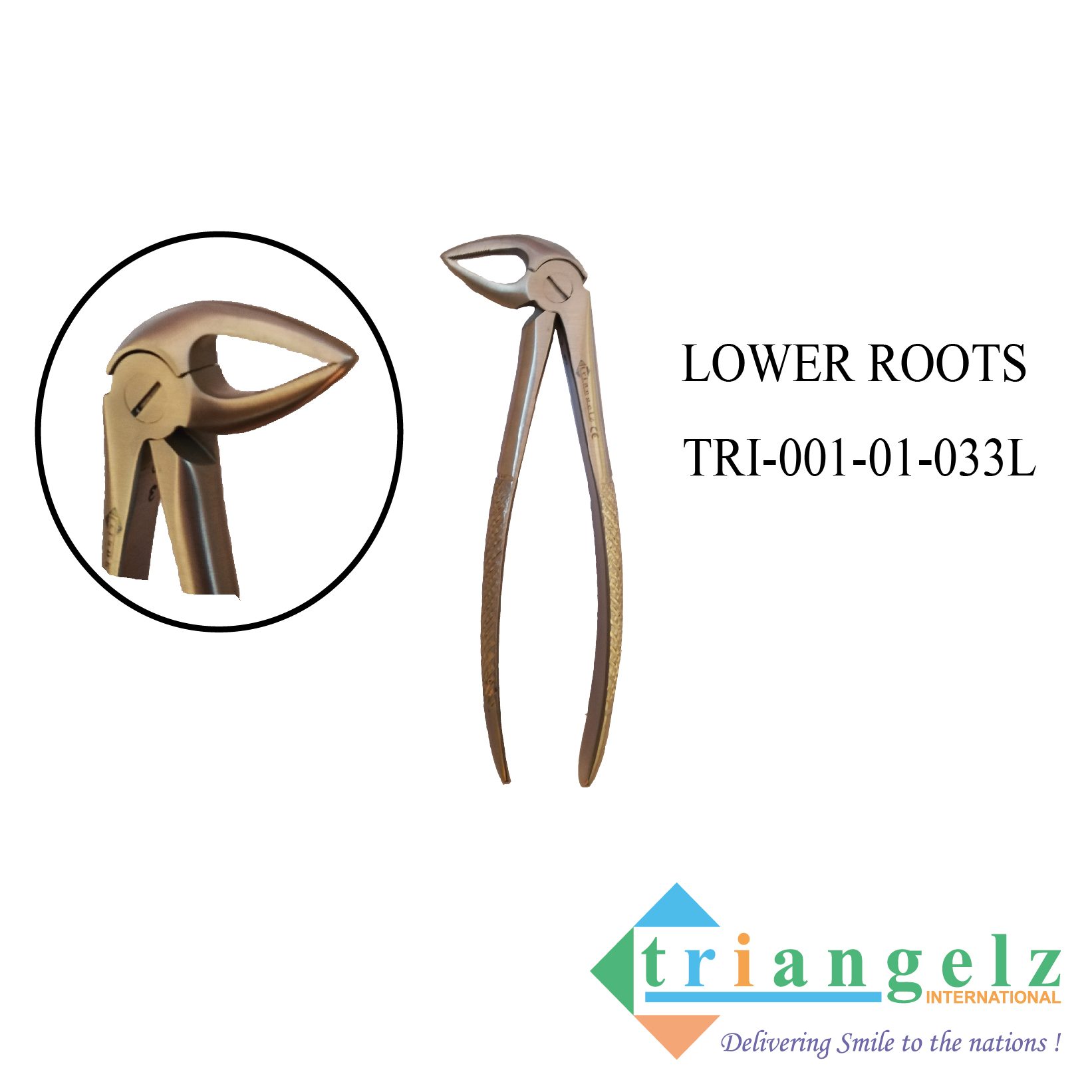 TRI-001-01-033L Lower Roots