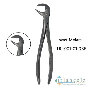 TRI-001-01-086 Extraction Forcep lower molars