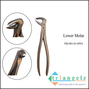 TRI-001-01-099A Lower Molar