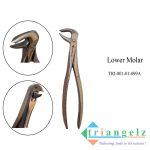 TRI-001-01-099A Lower Molar