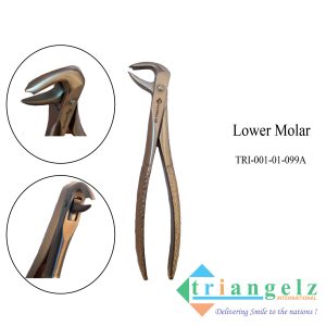 TRI-001-01-099A Lower Molar