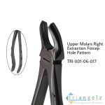 TRI-001-06-017 Extraction Forcep Hole Pattren 17