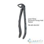 TRI-001-06-033 Extraction Forcep Hole Pattren 33