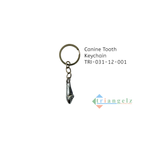Canine Tooth Keychain TRI-031-12-001-Photoroom