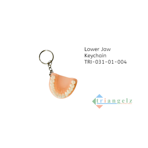 Lower Jaw Keychain TRI-031-01-004-Photoroom